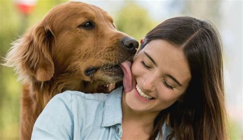 Mujeres y perros teniendo sexo salvaje caliente